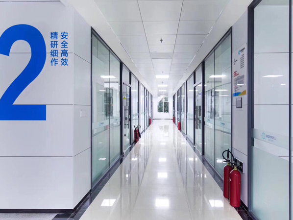 案例展示
